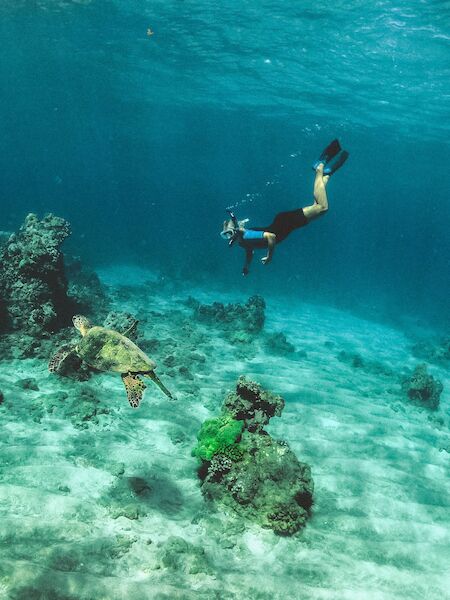 Scuba Diving in Maui