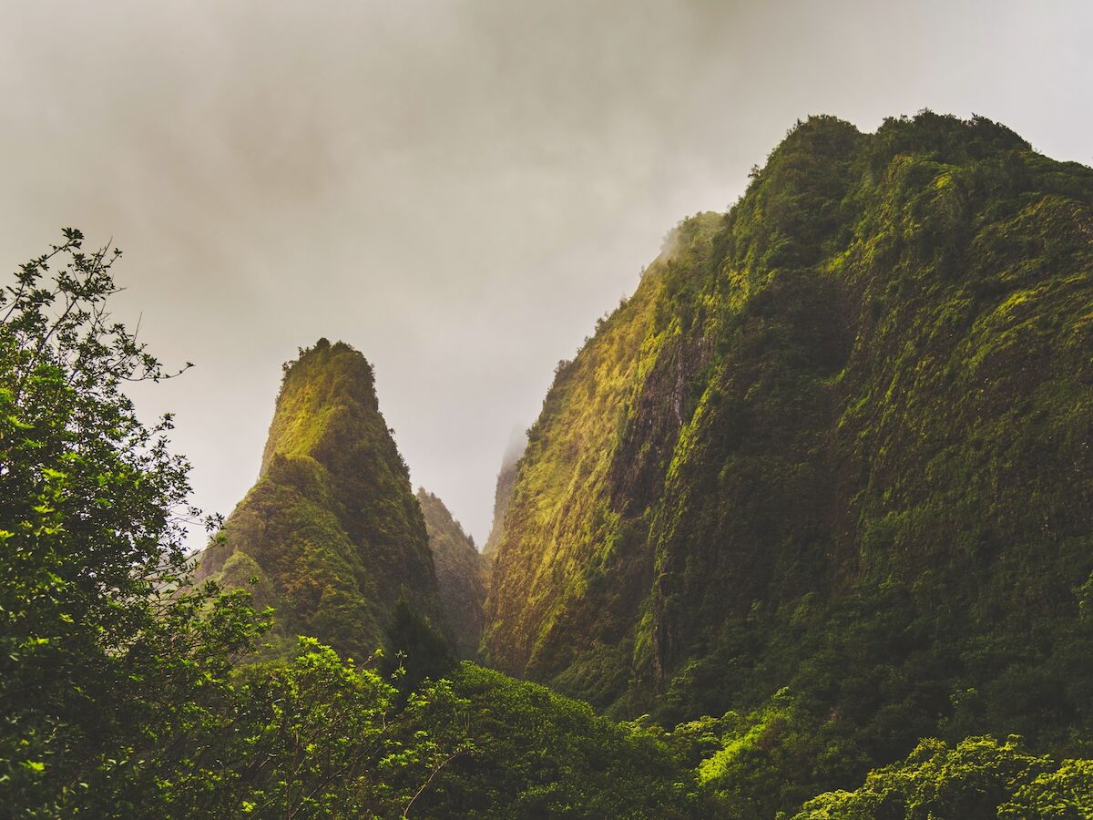 A lush, green landscape with tall, steep mountains and soft, cloudy skies overhead is depicted, creating a serene and natural scene.