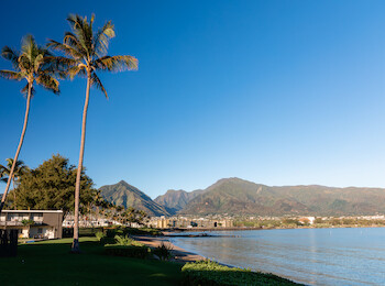 A scenic coastal view with palm trees, mountains, and buildings under a clear blue sky, meeting the calm waters of the sea.