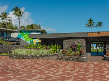 A building complex with tropical landscaping, signage, and palm trees under a clear blue sky.