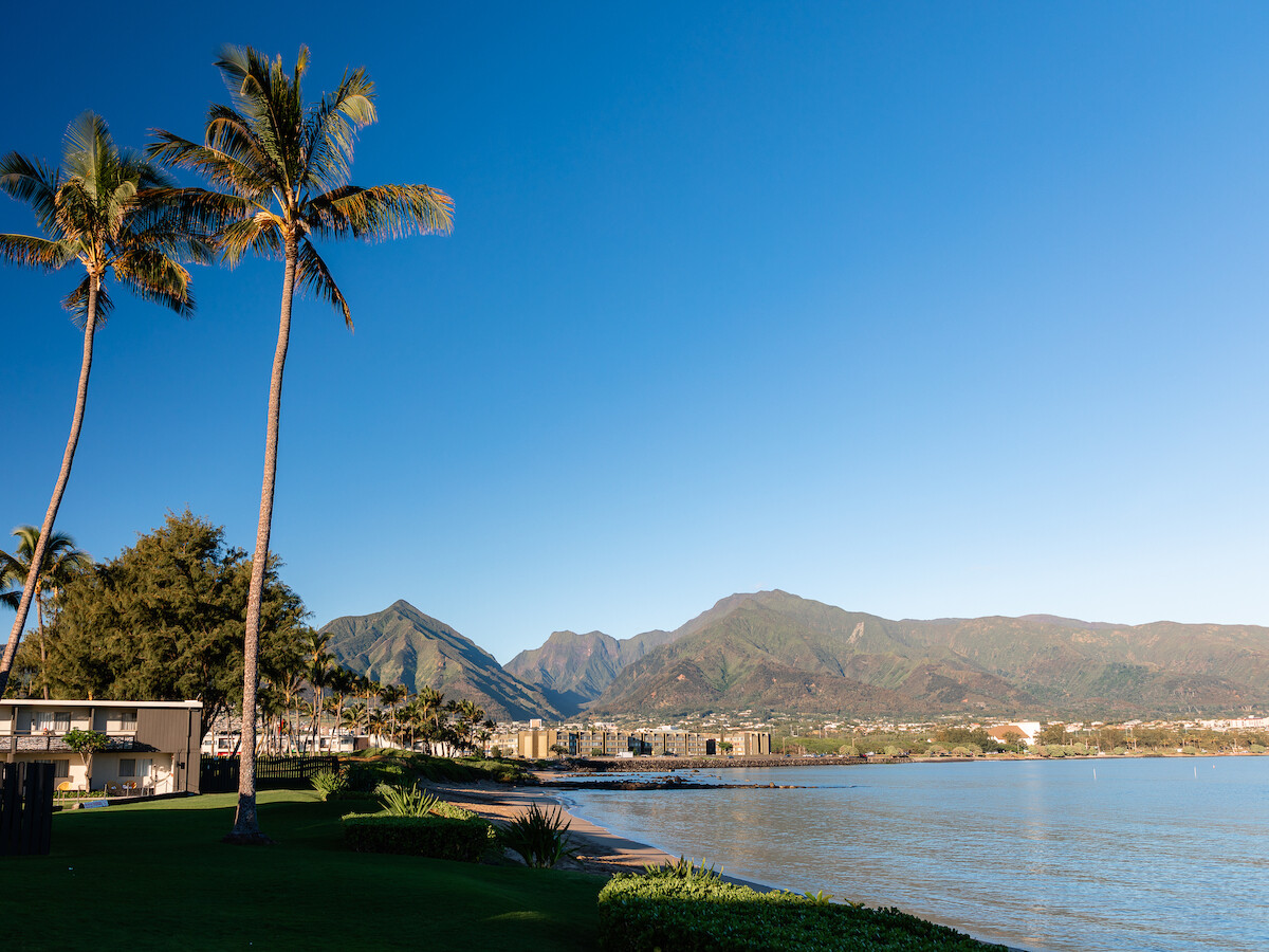A scenic view with palm trees, a coastline, mountains in the background, and clear blue skies completes the serene landscape.