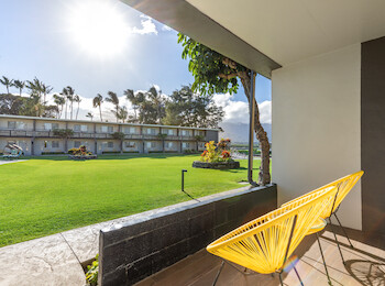 A sunny view from a patio with two yellow chairs, overlooking a green lawn and a building in the background.