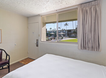 A simple hotel room features a bed, chair, curtain, and window with a view of palm trees and a lawn outside.
