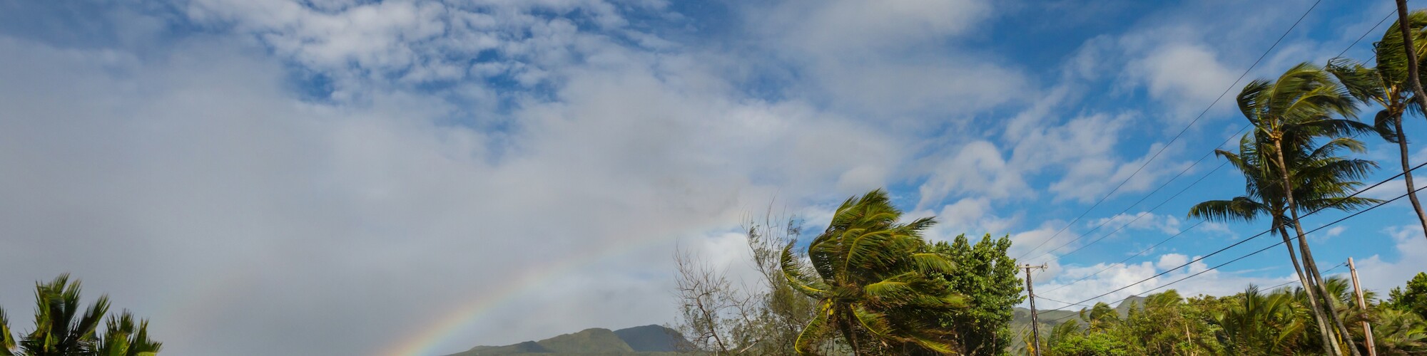 Maui Seaside Hotel