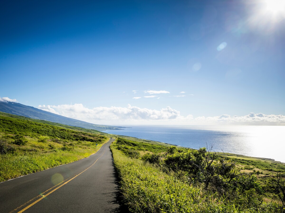 A scenic road winds through lush greenery, leading to a breathtaking ocean view under a clear blue sky with bright sunlight.