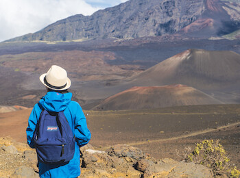 A person in a blue jacket and hat, carrying a backpack, overlooks a rocky, mountainous landscape.