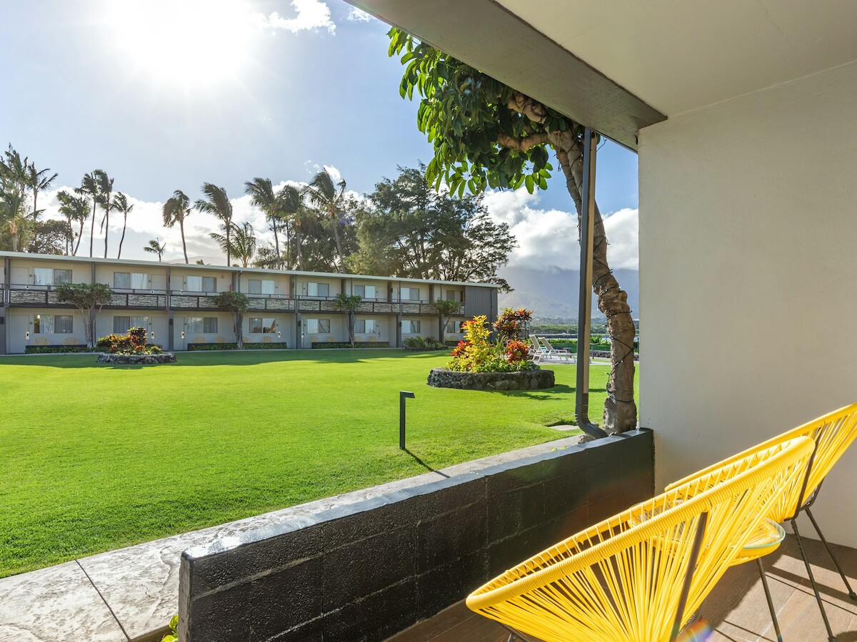 A sunny courtyard with green grass, palm trees, and a building in the background is viewed from a patio with yellow chairs.
