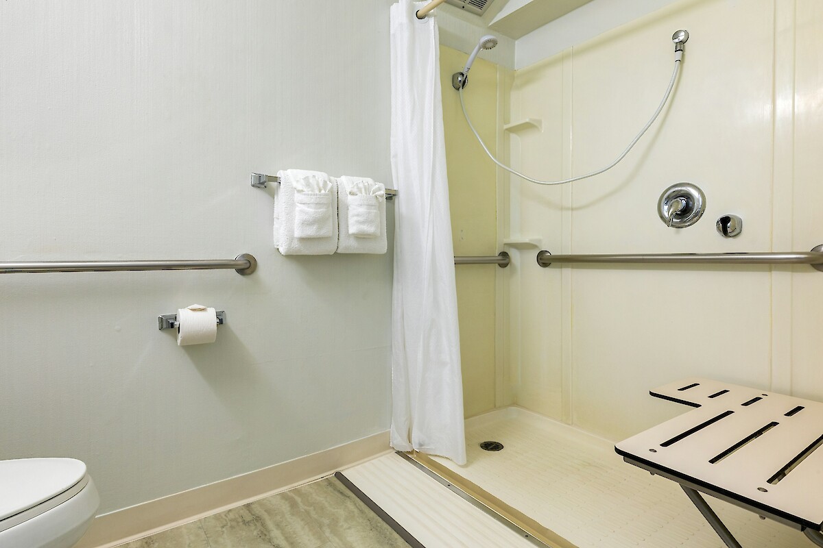 The image shows an accessible bathroom with handrails, a curtain, showerhead, toilet paper holder, towel rack, and a foldable shower seat.
